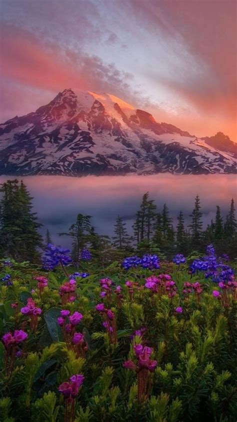 If you love nature, snowy mountain tops and foggy forests this is the perfect. 750x1334 Flowers Mountains iPhone 6, iPhone 6S, iPhone 7 ...