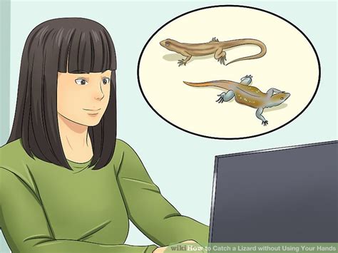 This prevents the lizard scampering off through the rest of the house. 3 Ways to Catch a Lizard without Using Your Hands - wikiHow