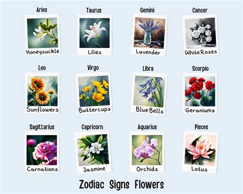 Zodiac Signs Flowers 12 Blooming Connections • Starry Sonnets