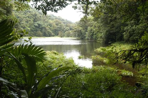 Biodiversidad Costarricense