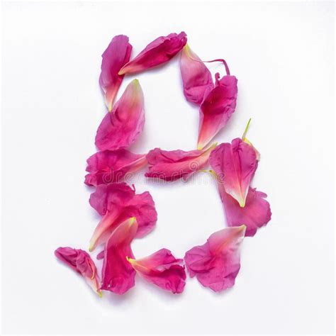 Alphabet Made Of Peony Petals Letter A Layout For Design Stock Image