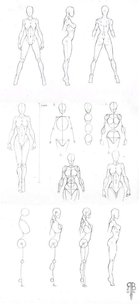 Below are the drawing video demo art lesson how to start out drawing basic frame of a woman's body or gesture drawing. female body shapes by Rofelrolf on DeviantArt
