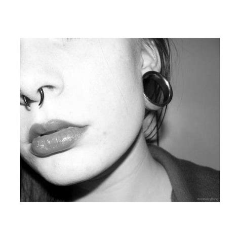 tunnels and septum piercing piercings plugs etc septum piercing piercings multiple ear