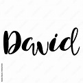 Male name - David. Lettering design. Handwritten typography. Vector ...