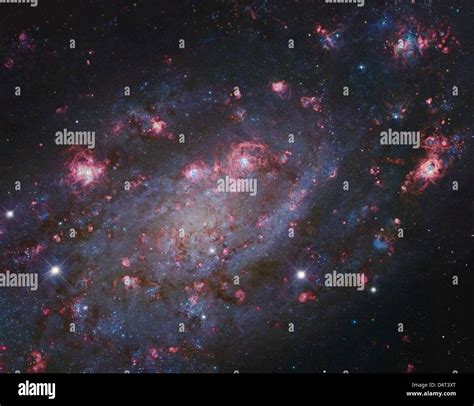Ngc 2403 A Spiral Galaxy In Camelopardalis Stock Photo Alamy