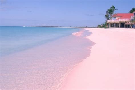 The 7 Magical Pink Beaches Around The World