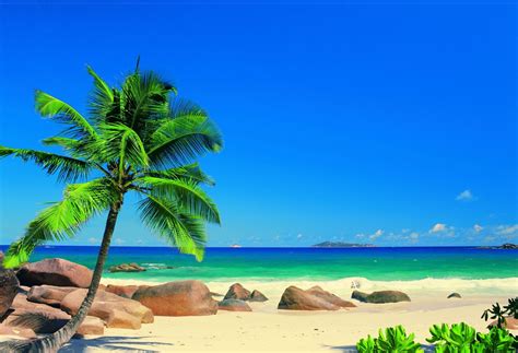 Caribbean Islands Wallpaper 71 Images