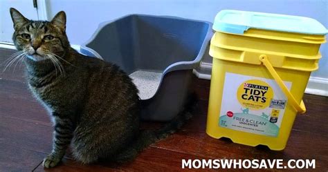 Keep Things Simple And Maximize Life With New Tidy Cats Free And Clean