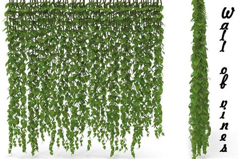 Wall Of Vines 3d Model Cgtrader