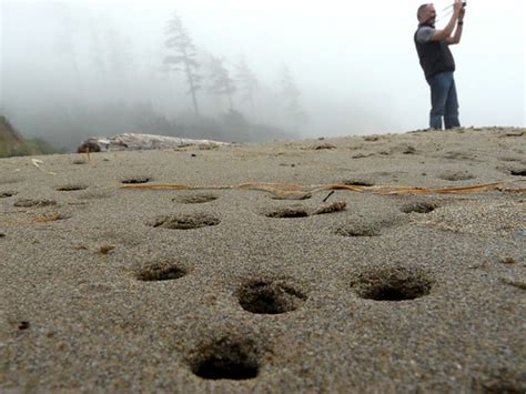 holes in the sand a foggy day at indian beach ecola state… flickr