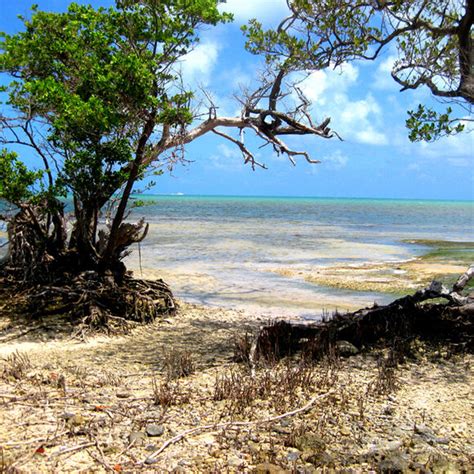 Geiger Key Abandoned Beach Boca Chica Florida Atlas Obscura