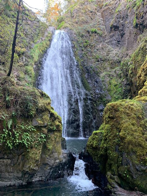 Susan Creek Falls Trail Oregon Alltrails