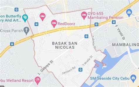 Lot For Sale San Nicolas Basak Cebu City 4929 Sqms For Commercial Development