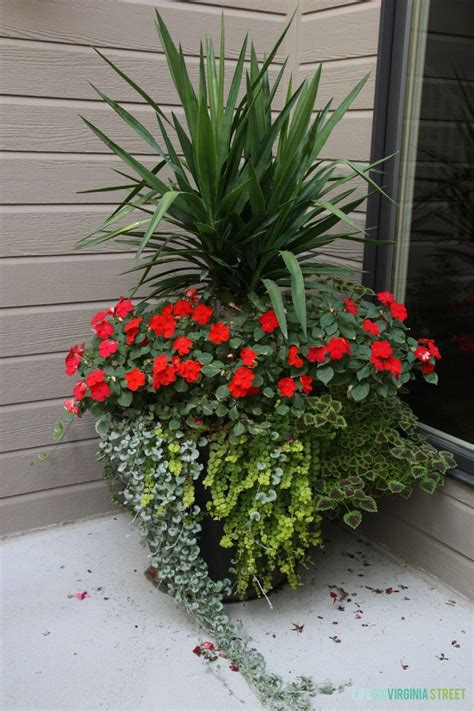 How To Style Your Courtyard This Summer Container