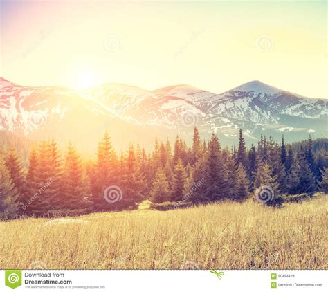 Magical Mountains Landscape Stock Image Image Of Flora Nature 90494429