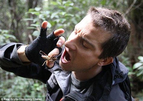 Bear Grylls Fired From Man Vs Wild By Discovery Channel Daily Bear Grylls Man Vs Wild