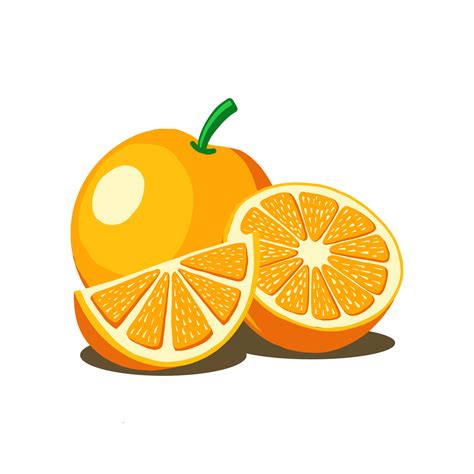 Orange Fruit Vector Illustration Good For Fresh Fruit Product Or