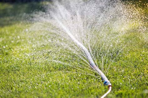 Here's what you need to do to keep your when to water your lawn. Hose With Multiple Sprinkler Heads - Rona Mantar