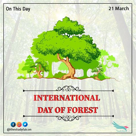 International Day Of Forest 21 March The Study Falcon