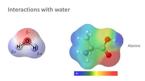 Biochemistry 30 Water And Solubility Youtube