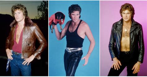 Dont Hassle The Hoff 30 Cheesy Portraits Of David Hasselhoff Like You