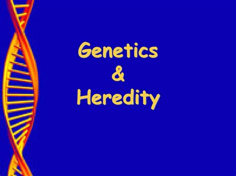 ppt genetics and heredity powerpoint presentation free download id 15641