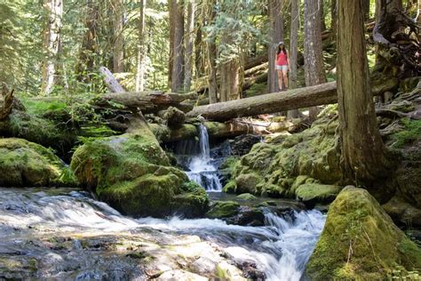 Why Panther Creek Falls Is One Of The Best Washington Waterfalls