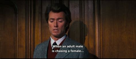 29 Dirty Harry Callahan Quotes Thecolorholic