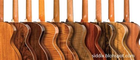 Jenis Kayu Yang Digunakan Untuk Membuat Gitar Akustik Siddix