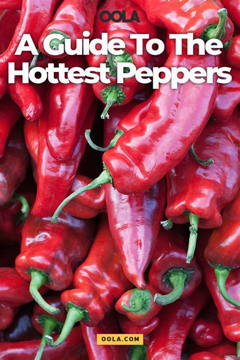 A Guide To The Hottest Peppers Stuffed Peppers Stuffed Hot Peppers