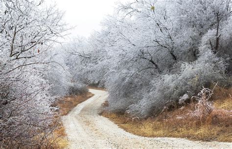 Frozen Country Road Photograph By George Spann Fine Art America