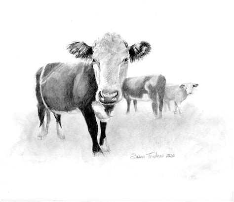 Cow Realistic Drawing Cows In Pasture Graphite Pencil Realism Etsy