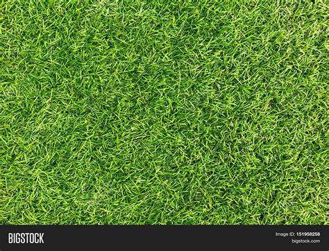 Green Grass Seamless Texture Top View Grass Stock Photo And Stock Images