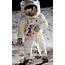Aldrin Apollo 11 Croppedjpg  Wikimedia Commons