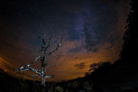 Amazing Night Sky Photos by Stargazers: November 2013 (Gallery) | Space