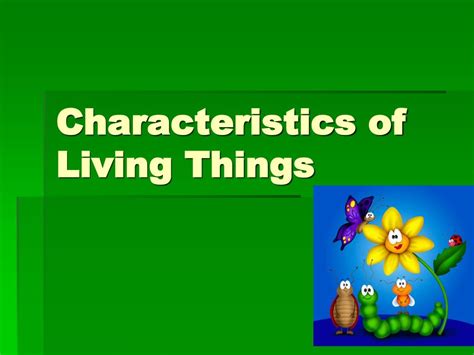 Ppt Characteristics Of Living Things Powerpoint Presentation Free