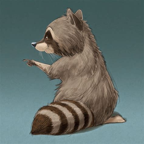 The Art Of Aaron Blaise Some Random Raccoon Sketches Raccoon