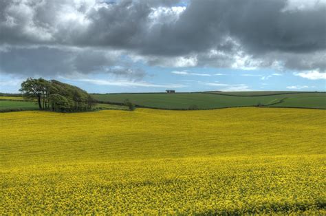 Dorset Fields Bob Flickr
