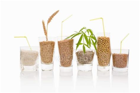 Various Grains And Seeds — Diet Portion Stock Photo 154628258
