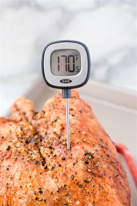 Turkey Breast Thermometer Close West Of The Loop