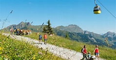 BERGFEX-Sehenswürdigkeiten - Sommerbetrieb der Großarler Bergbahnen ...