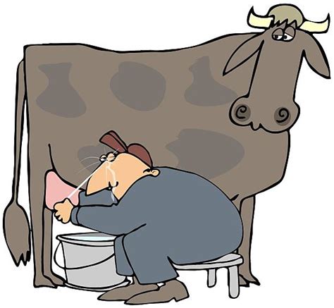 Man Milking Cow Cartoon Illustrations Royalty Free Vector Graphics And Clip Art Istock