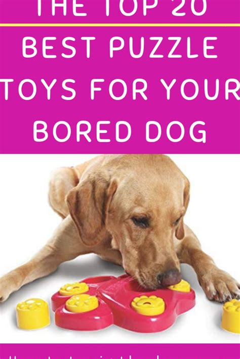 Save on toys, food & more qualified orders over $35 ship free The Top 20 Best Puzzle Toys For Your Bored Dog # ...