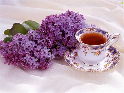 Čaj Od Ljubičice Pomaže Kod Hripavca I Glavobolje