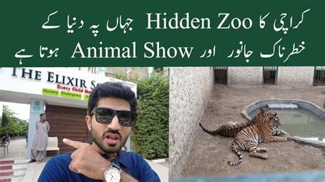 Elixir Zoo Karachi A Hidden Zoo In Karachi Exotic Animals Youtube