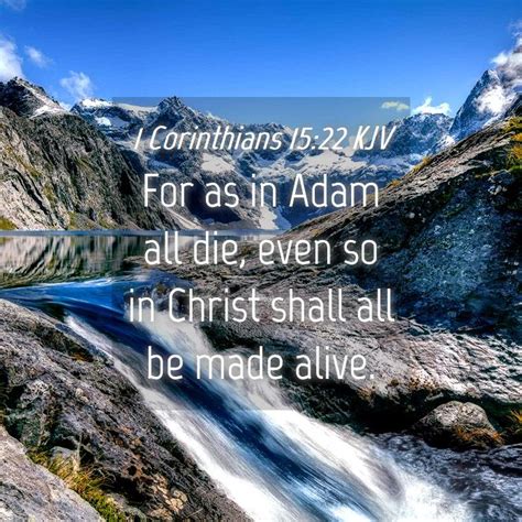 1 Corinthians 1522 Kjv For As In Adam All Die Even So In Christ Shall