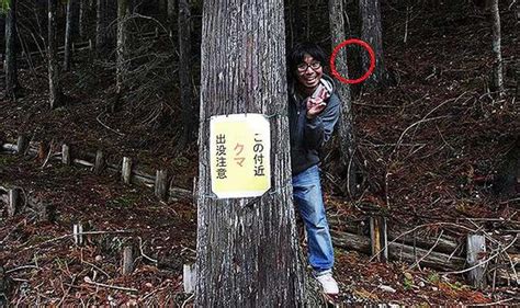 Viral Photo Of Man In Forest Has Imgur Users Confused Travel News