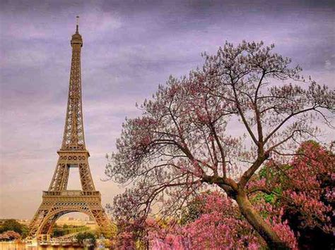 إذا كنت تبحث عن أجمل صور باريس و خلفيات برج إيفل قم بتنزيل تطبيق واستمتع بالجمال النقي. صور برج ايفل 2018 خلفيات باريس برج ايفل