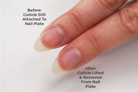 How To Remove Your Cuticles At Home Even The Invisible Ones Dipwell