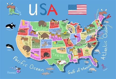 50 States Usa Map United States Map Map